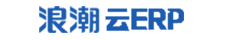 ˹ ERP